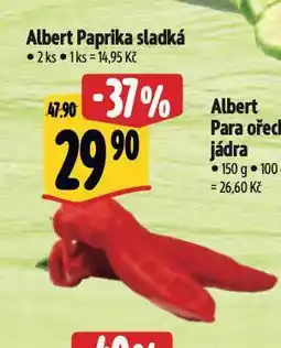 Albert Paprika sladká nabídka