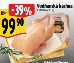 Albert Vodňanská kachna nabídka