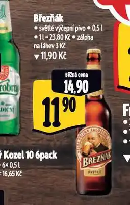 Albert Pivo březňák nabídka