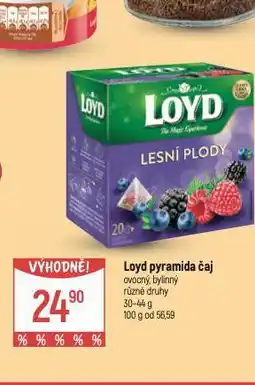 Loyd pyramidový čaj