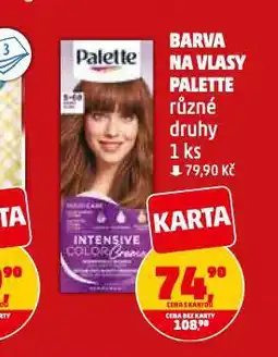 Penny Market Palette barva na vlasy nabídka