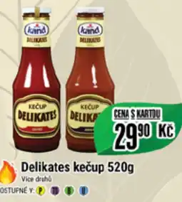 Tamda Foods Delikates kečup 520g nabídka