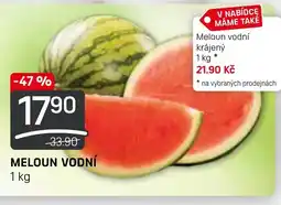 MELOUN VODNÍ