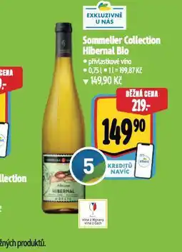 Albert Sommelier collection hibernal bio nabídka