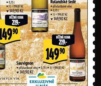Albert Sauvignon nabídka