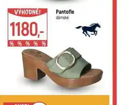 Globus Pantofle dámské nabídka