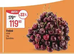 Globus Třešně nabídka
