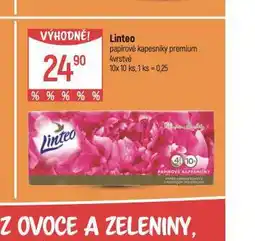 Globus Linteo papírové kapesníky nabídka
