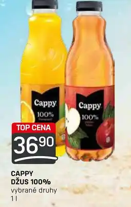 CAPPY DŽUS 100%