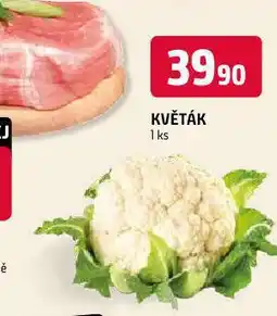 Terno Květák nabídka