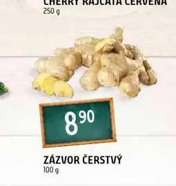 Terno Zázvor čerstvý nabídka