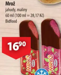 Mrož