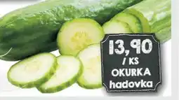 Jip OKURKA hadovka nabídka