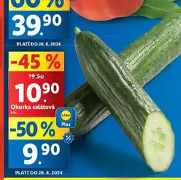 Lidl Okurka salátová nabídka