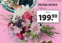Lidl Pestrá kytice nabídka