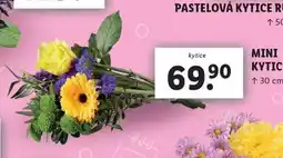 Lidl Mini kytice nabídka