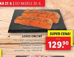 Lidl Losos obecný nabídka