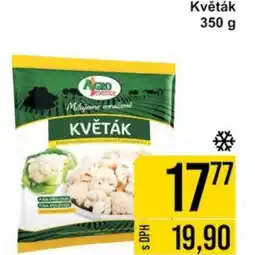 Jip Květák nabídka