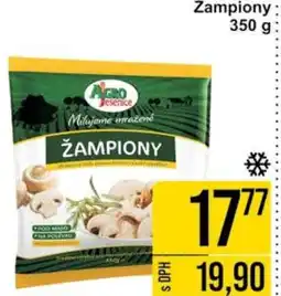 Jip Žampiony nabídka