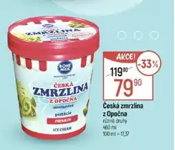 Globus Česká zmrzlina z Opočna nabídka