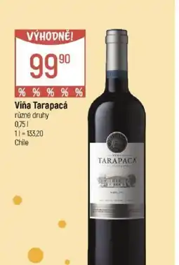 Globus Viña Tarapacá nabídka