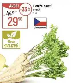 Globus Petržel s natí nabídka