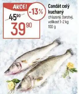 Globus Candát celý kuchaný nabídka