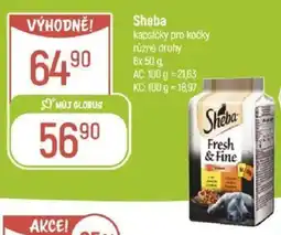 Globus Sheba nabídka