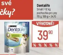 Globus Dentalife nabídka