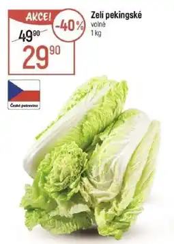 Globus Zelí pekingské nabídka
