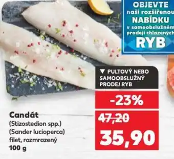 Kaufland Candát nabídka