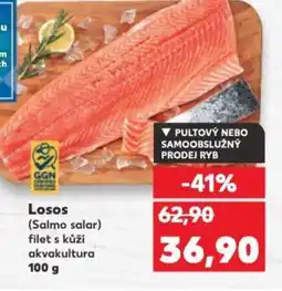 Kaufland Losos (Salmo salar) nabídka