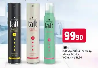 Terno TAFT nabídka