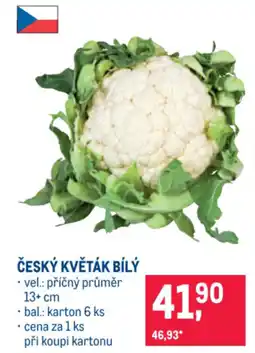 Makro ČESKÝ KVĚTÁK BÍLÝ nabídka