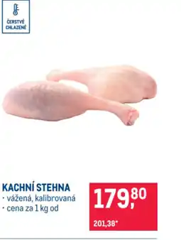 Makro KACHNÍ STEHNA nabídka