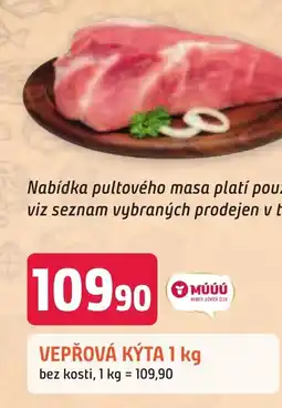 Trefa VEPŘOVÁ KÝTA 1 kg nabídka