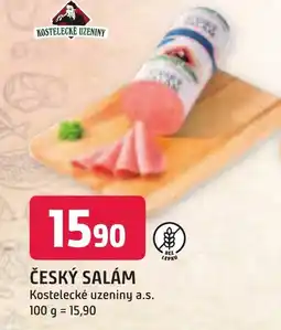 Trefa ČESKÝ SALÁM nabídka