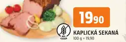 Trefa KAPLICKÁ SEKANÁ nabídka