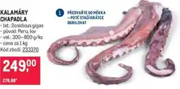 Makro KALAMÁRY CHAPADLA nabídka