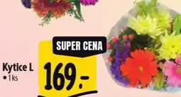 Albert Kytice L nabídka