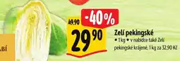 Albert Zelí pekingské nabídka