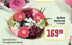 Billa Kytice barevná nabídka