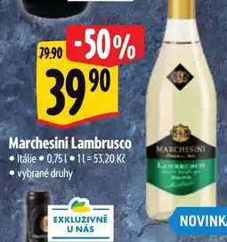 Albert Marchesini Lambrusco nabídka