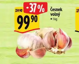 Albert Česnek nabídka