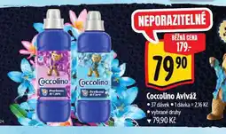Albert Coccolino aviváž nabídka