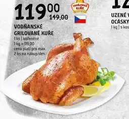 Terno Vodňanské grilované kuře nabídka