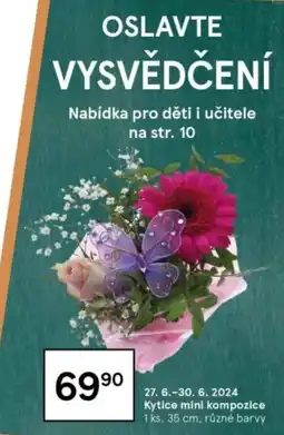 Tesco Kytice mini kompozice nabídka