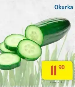 Kubík potraviny Okurka nabídka