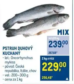 Makro PSTRUH DUHOVÝ KUCHANÝ nabídka