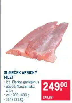 Makro SUMEČEK AFRICKÝ FILET nabídka